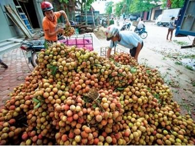 Chú trọng phát triển nông lâm thủy sản công nghệ cao