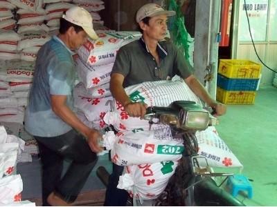 Bất cập thị trường thức ăn chăn nuôi thực trạng đau đầu