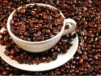 Tồn trữ cà phê thế giới cuối vụ 2015/16 sẽ thấp nhất 4 năm