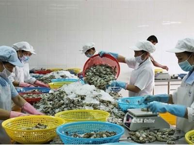 Xuất khẩu tôm sang Nhật Bản tiếp tục giảm sâu