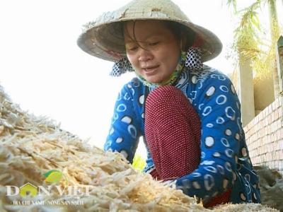 Nông dân Vĩnh Châu kiếm tiền triệu từ mùa ruốc
