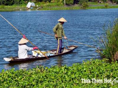 Thừa Thiên Huế tăng cường bảo vệ nguồn lợi thủy sản