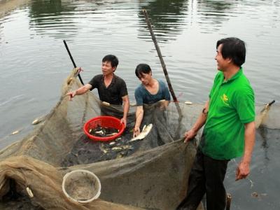 Hiệu quả khi gắn với tư vấn, hỗ trợ sau học nghề