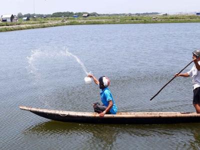 Tôm, cua chết hàng loạt ở thừa thiên huế hậu họa từ nuôi tự phát, giấu dịch