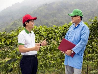 Có thể thu 1 tỷ USD từ xuất khẩu... chanh leo?
