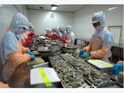 Australia lifts ban on VN uncooked shrimp