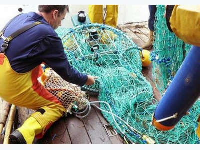 Tech start-up claims to reduce bycatch by up to 90% using LEDs