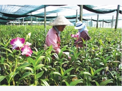 High-tech, clean agriculture: investment trends for powerful capitalists