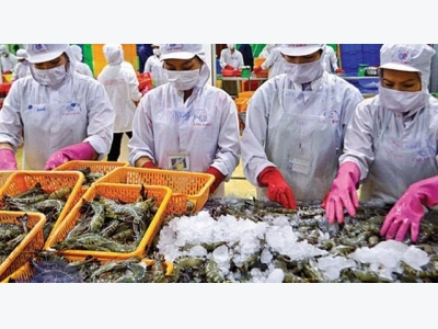 Australia continues to impose conditions on imported prawns