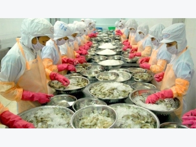 Australia allows shrimp processed in Vietnam to be re-imported