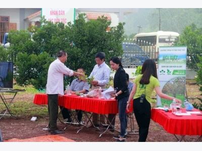 Điều cần biết về chăm sóc, bón phân 4 đúng cho 