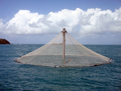 Do you know offshore aquaculture when you see it?