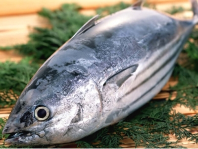 US FDA warns about hepatitis A in frozen tuna from Vietnam