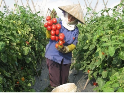 Farm sector needs market research