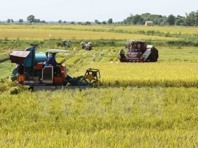 Australia seeks hi-tech agriculture link with Mekong Delta