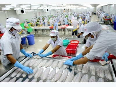 Seafood exports to Japan go by leaps and bounds
