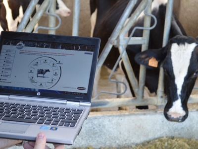 Lallemand optimizing rumen efficiency measuring tools