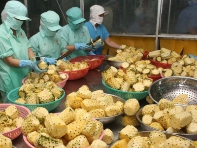 Forum seeks solutions to expand market for Vietnamese farm produce