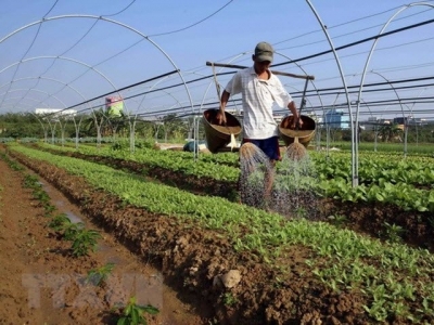 Vietnam sees potential for organic fertilizer business