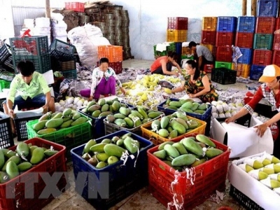 Vietnams fruit, vegetables export sees impressive growth