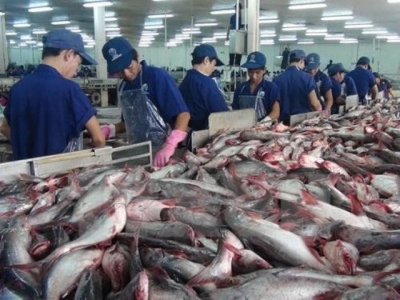 Vietnamese catfish exports dominate US market