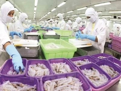 VASEP urges boosting shrimp exports to US