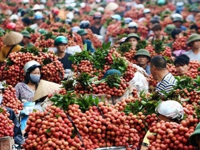 Hà Nam to witness high-tech agricultural products