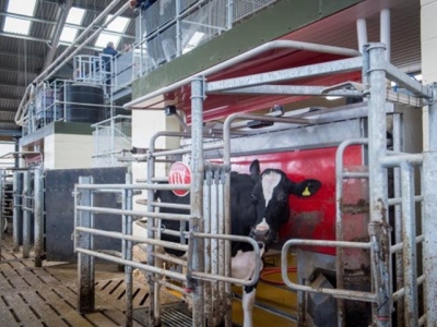 New UK dairy centre: Robotic milking at the forefront