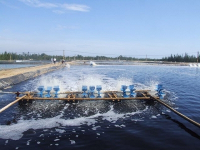 The importance of biosecurity and disinfection in aquaculture (Part 2)
