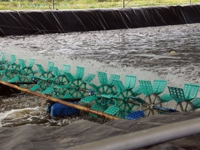 Farmers should reduce areas farming shrimp