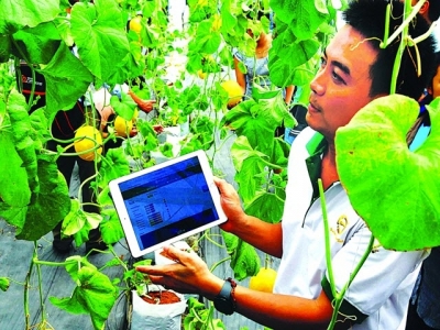 Internet of Things helps farmers boost, improve production