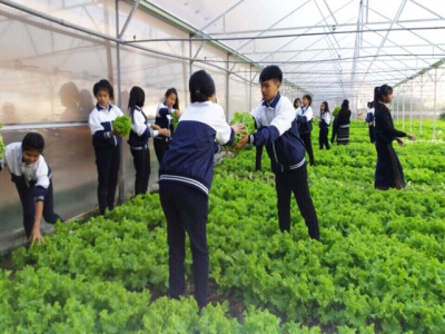 Lam Dong students practice high-tech agriculture