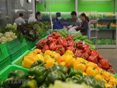 Fruit, vegetable exports bounce back in April