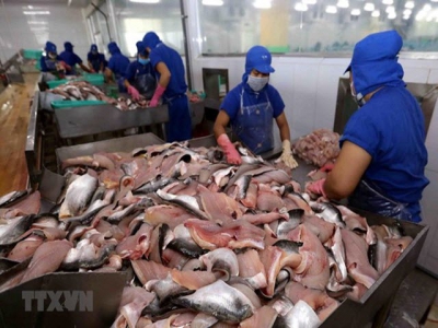 Vietnams tra fish exports to ASEAN up 18 percent