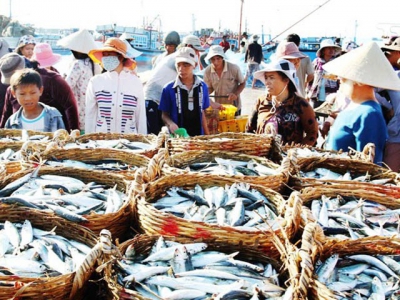 Tình hình sản xuất và nuôi trồng thủy sản tháng 5 năm 2019