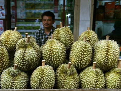 China tightens import standards for Vietnamese fruits