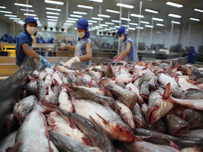 Shrimp and pangasius market recap White leg shrimps prices on rise in April