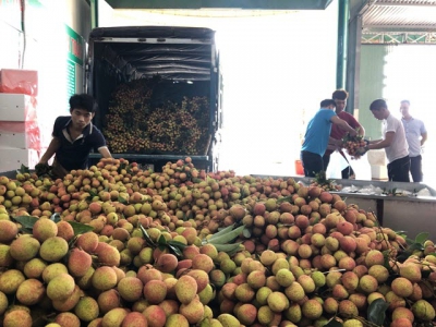Vietnam seeks new markets for farm produce