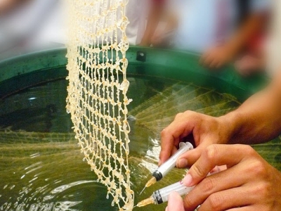 Đồng Sulphate - Giải pháp rẻ, hiệu quả, an toàn trong việc xử lý nấm nhiễm trong trứng cá