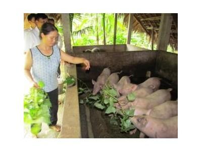 Mở Hướng Cho Nông Dân Thoát Nghèo