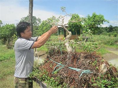 Trang Trại Ở Rú Đưng