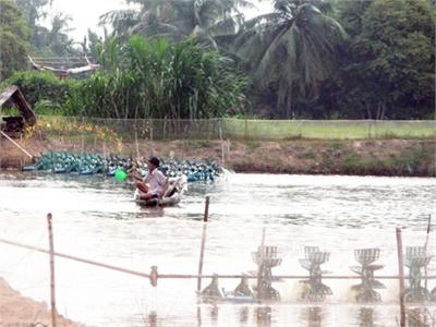 Lợi Trước Mắt, Hại Lâu Dài