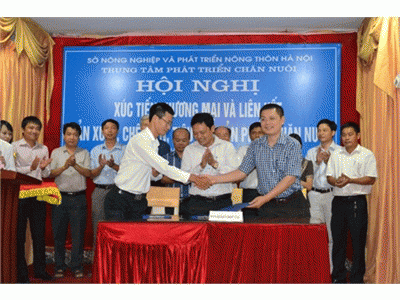 Lợi Ích Bền Vững Từ Liên Kết Tiêu Thụ Sản Phẩm Trong Chăn Nuôi