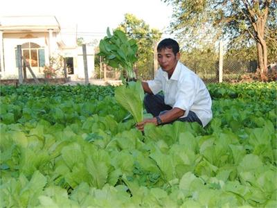 Sản Xuất Nhỏ, Hiệu Quả Cao