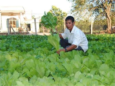 Sản Xuất Nhỏ, Hiệu Quả Cao