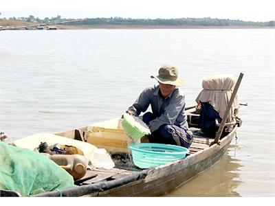 Mùa Cá Trên Hồ