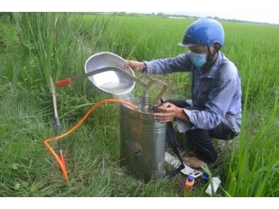 Bùng Phát Dịch Bệnh Trên Trà Lúa Hè Thu