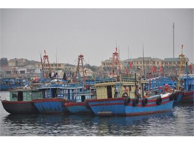 Đã Có Dự Báo Ngư Trường Hải Sản Ngắn Hạn