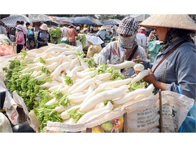 Giảm Nhập Siêu - Giảm Lệ Thuộc!