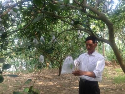 Khi Chủ Nhiệm Thành Giám Đốc...